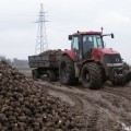 Case IH Magnum 280 Dane techniczne