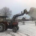 Massey Ferguson 250 Dane techniczne