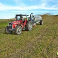 Massey Ferguson 595 (1974-1977) Dane techniczne