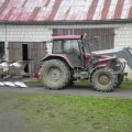 Case IH MXM Maxxum 130 Dane techniczne