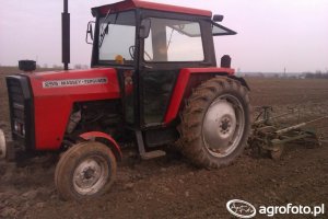 Massey Ferguson 565 Dane techniczne
