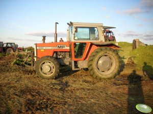 Massey Ferguson 590 Turbo Dane techniczne