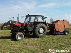 Ursus 902 (1983-1985) Dane techniczne