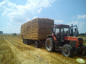 Ursus 1134 Dane techniczne