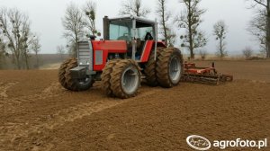 Massey Ferguson 2680 (1981-1982) Dane techniczne