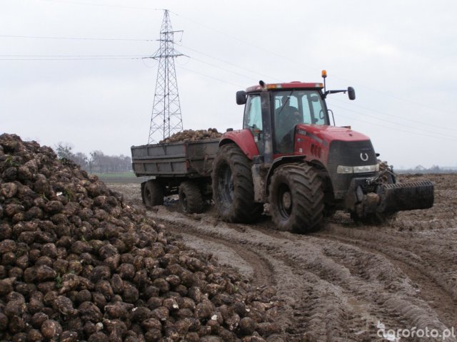 Case IH Magnum 280 Dane techniczne