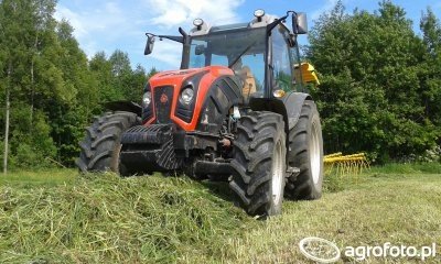 Ursus 9014H