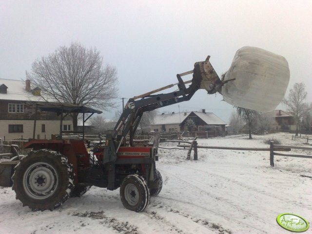Massey Ferguson 250 Dane techniczne