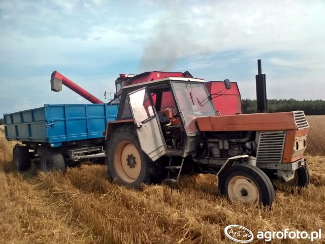 Ursus 1212 (1981-1984) Dane techniczne
